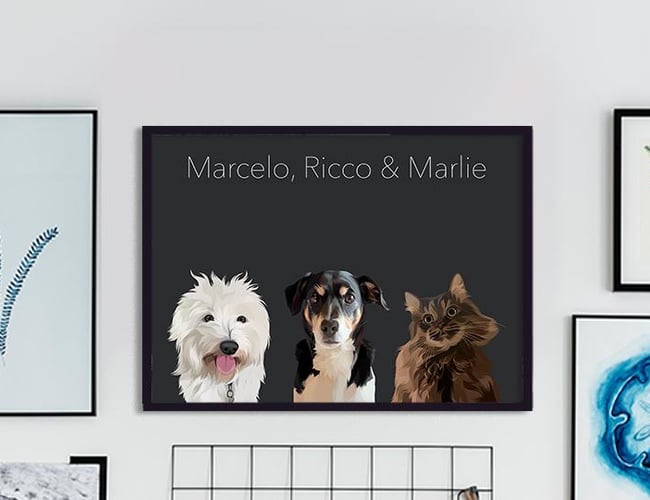 Tids- og ressourcesparsom plakatwebshop til kæledyrs - ÅTD omsætning: ca. 50.000 kr.