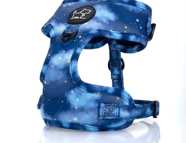 👉 Klar til overtagelse: Etableret nichewebshop med stærkt hundebrand 🐾