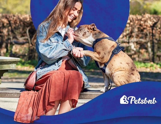 Petsbnb - en platform for pasning af kæledyr for dyreejere og dyrepassere