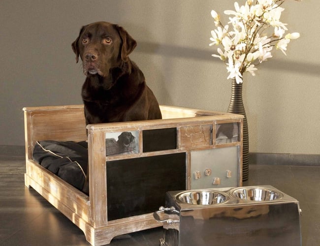 Markedets flotteste kæledyrswebshop