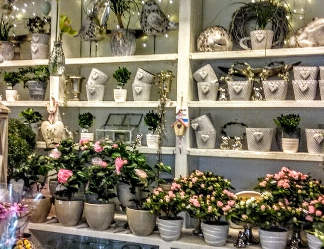 Unik Blomsterforretning i stærk fremdrift sælges. Få julehandlen med ved hurtig handel