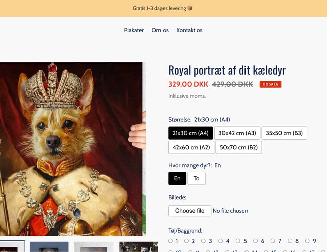 Plakat webshop med omsætning sælges - Dropshipping - omsat for 6500kr. på 3 uger med 300 kr. i ad spend