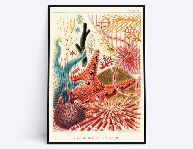 Dropshipping plakatwebshop med potentiale for fuld automatisering sælges