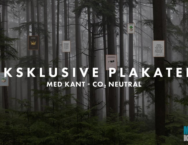 Plakat webshop - gode aftaler og lave faste udgifter - Omsætning i 2021/2022 på 284.000 kr.