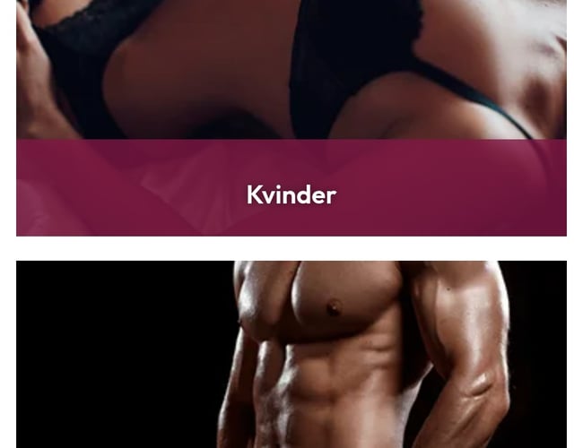 Sexshop med en af branchens billigste indkøbsaftaler og fjernlager med overnat levering