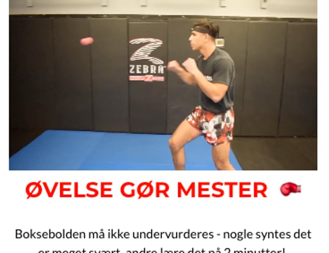 Boksebolden.dk (524.000 kr. i omsætning)