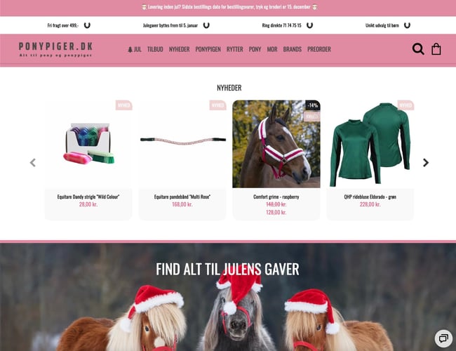 Webshop med rideudstyr til børn, ponyer og hestepiger - Nettoomsætning: 214.000 kr.