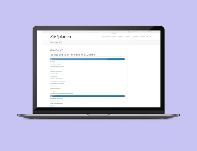 Kostplanen.dk til salg - Opskrift side med 2.900 artikler udgivet samt 28.000 mailadresser