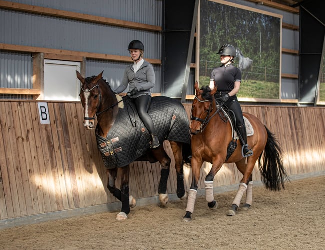 Ridetøjs webshop 4 år - Elgorre.dk - med eget brand