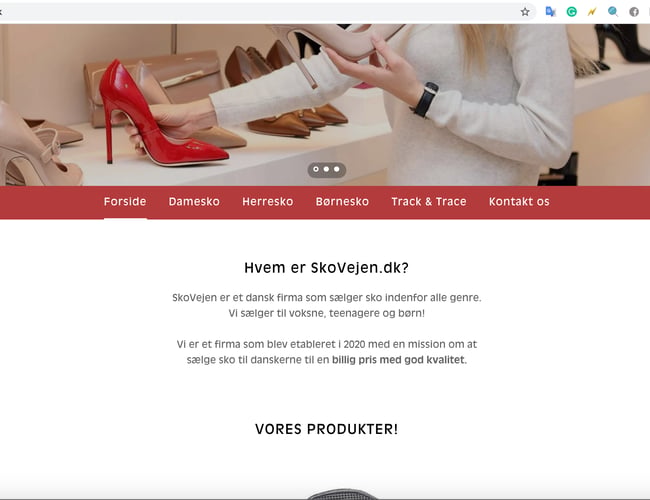 SkoVejen.DK - Klargjort Dropship webshop med salg af sko