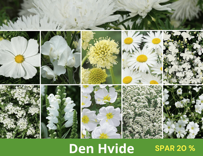 Webshop fra 2011 med stort kundekartotek