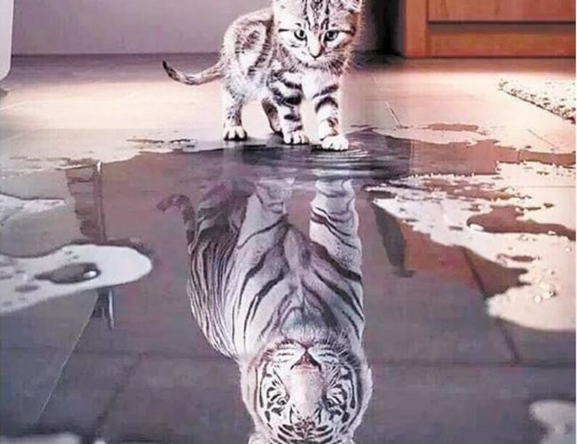 Paint by numbers webshop (Dropshipping)