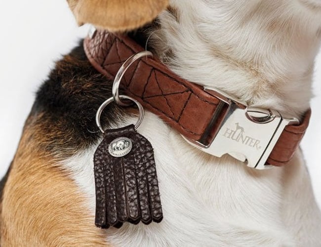 Markedets flotteste kæledyrswebshop