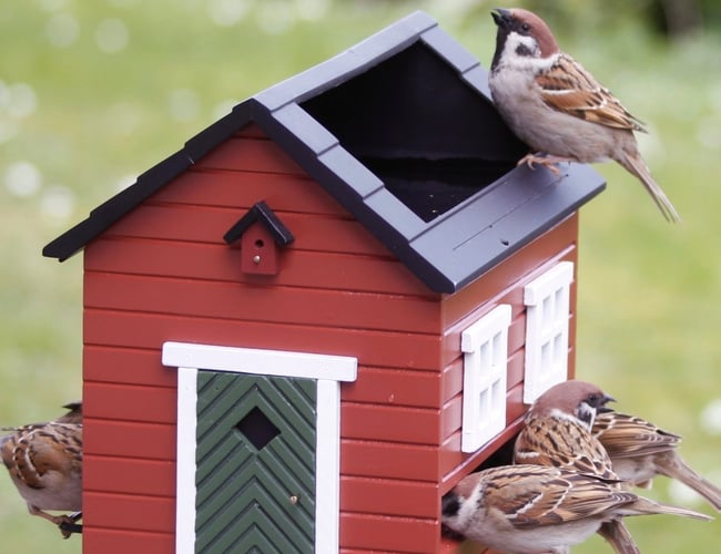 Webshop indenfor have - E-mærket og 4,9 på trustpilot med 550 anmeldelser