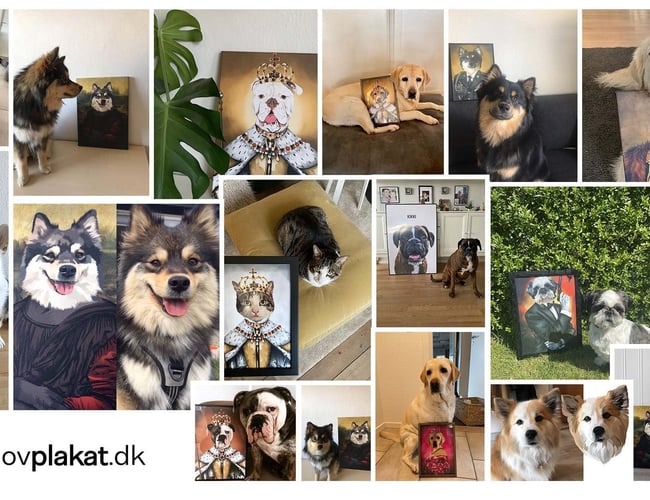 Partner søges til sjovplakat