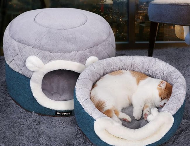 WEBSHOP + HJEMMESIDE MED TING TIL HUNDE OG KATTE 