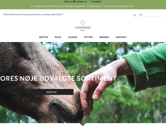 Webshop med rideudstyr og plejeprodukter til salg - Omsætning: kr. 215.000 Overskud: Ca. kr. 50.000