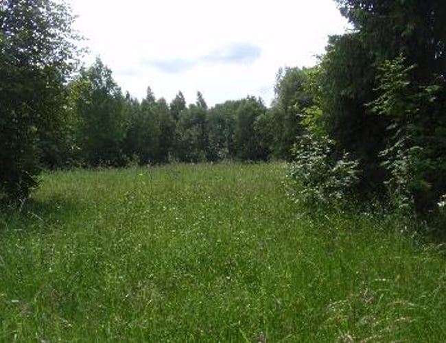 Dansk  ejere som ejer en LETISK ejendom selskab i Letland til salg