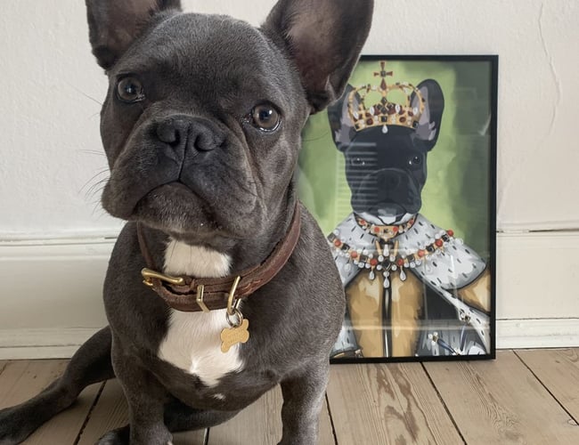 SJOVPLAKAT.DK til salg 