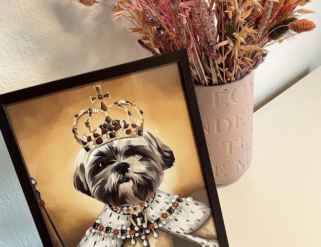 SJOVPLAKAT.DK til salg 