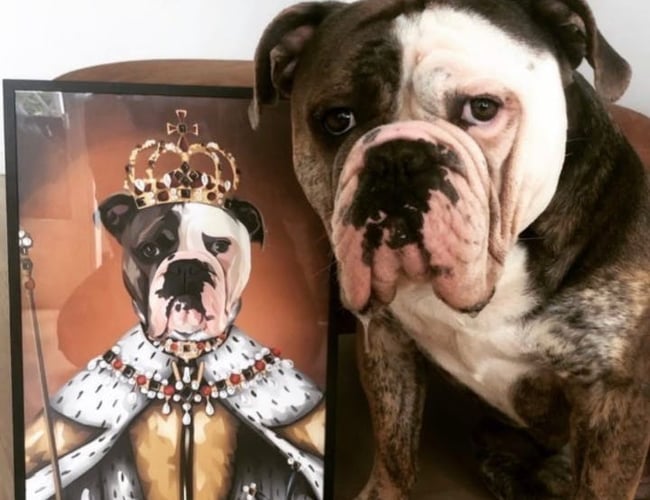 SJOVPLAKAT.DK søger en køber