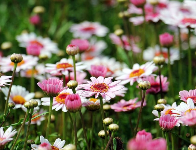 Skøn webshop med dametøj sælges - Shop med unikke varer og kendte mærker