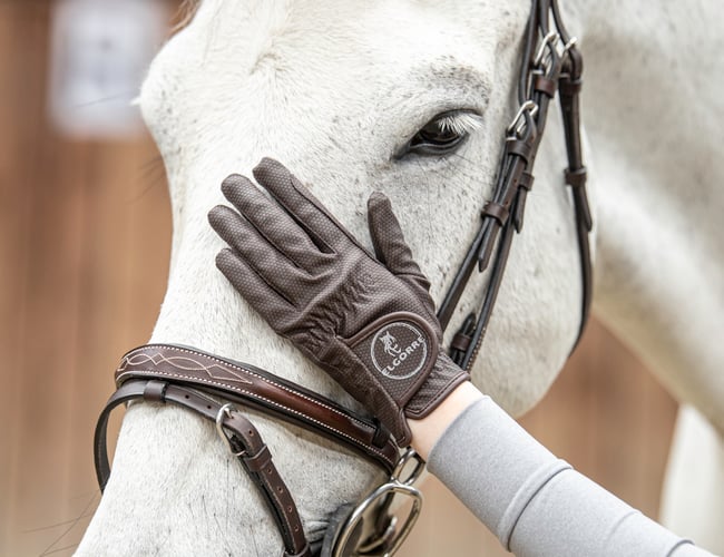 Ridetøjs webshop 4 år - Elgorre.dk - med eget brand