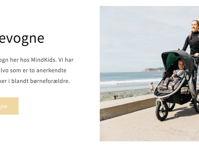 Dropshipping butik med salg af børne produkter - +300 produkter - Dansk leverandør