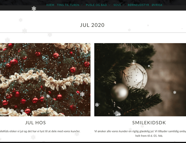 Skarp dropshipping webshop med dansk leverandør 