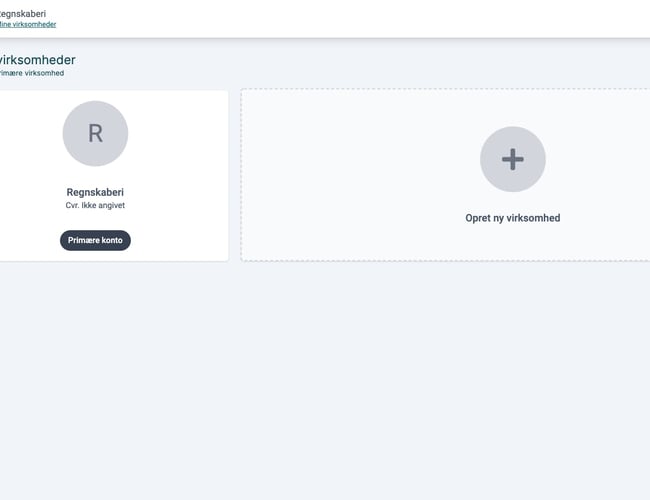 Regnskabsprogram til salg