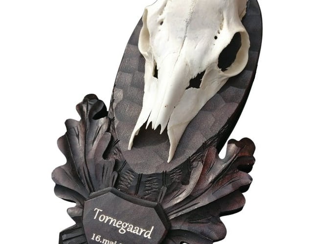 Veletableret niche webshop med Jagtudstyr - omsætning 404 t. kr. med stor organisk salg.