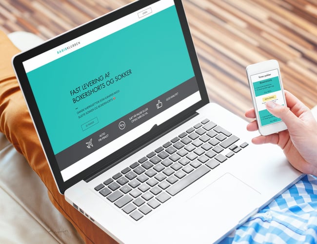 Webshop med salg af boxershorts og sokker på abonnement - omsat for 17.500 kr. 