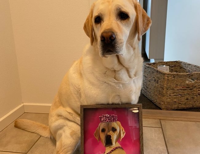 SJOVPLAKAT.DK til salg - 