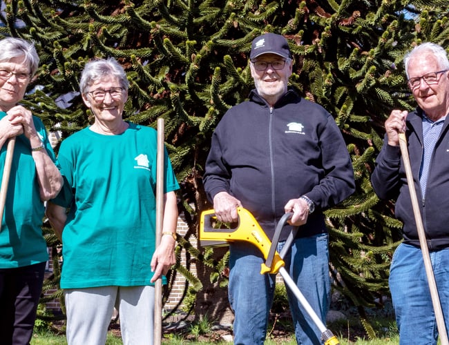 BedsteService.dk – etableret serviceportal med høj Trustpilot score og stærk SoMe-profil