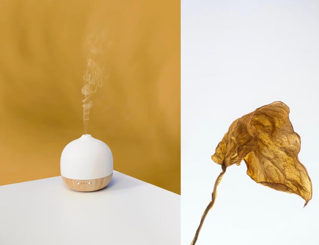 BOTANICAL HOME SCENT: Unikt produkt med gennemført Visuelt Brand - Webshoppen omsatte i 2022: 360.000,- kr.