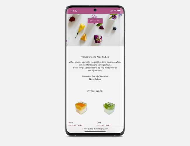 Webshop Nice Cubes - Isterninger med personlighed - til salg