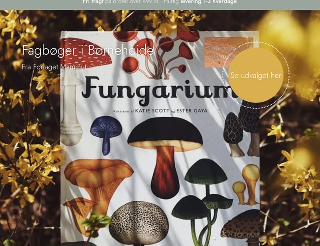 Eventyrlig Leg - Webshop med økologisk og bæredygtig legetøj