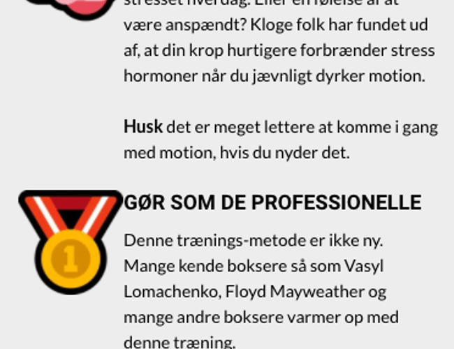 Top tunet Shopify Webshop med produkt uden konkurrence på det danske marked