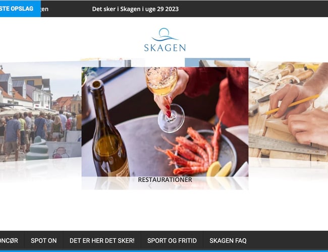 Lokal netavis/medie sælges