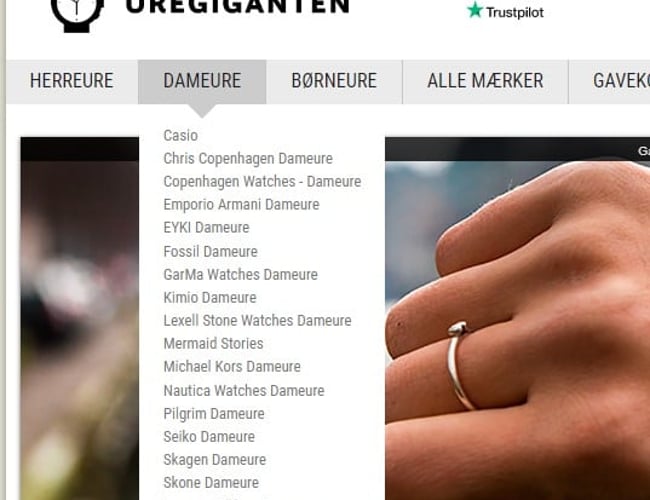 Ure – webshop med kendte mærkevare-brands - Omsætningen (2022) inkl. moms: 170.000 kr. 