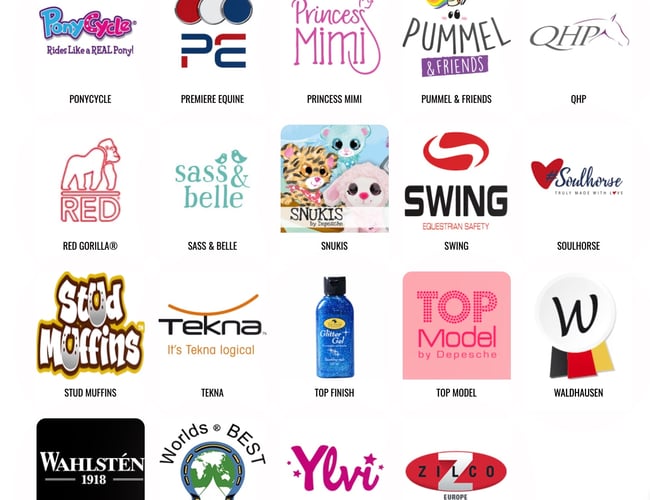 Webshop med rideudstyr til børn, ponyer og hestepiger - Nettoomsætning: 214.000 kr.