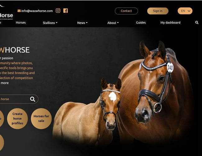 On-line platform - Mulighed for at leve af din passion for Heste