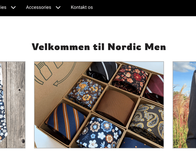 NORDICMEN - ALT DET MANDEN MANGLER