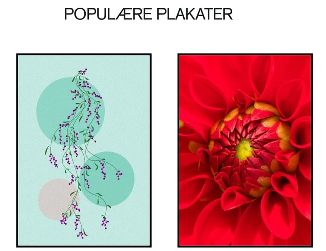 Dropshipping plakatwebshop med stort sortiment 