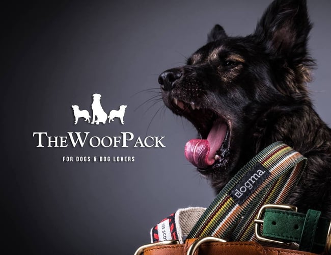 NY PRIS!   Thewoofpack.dk - Luksus webshop for hunde