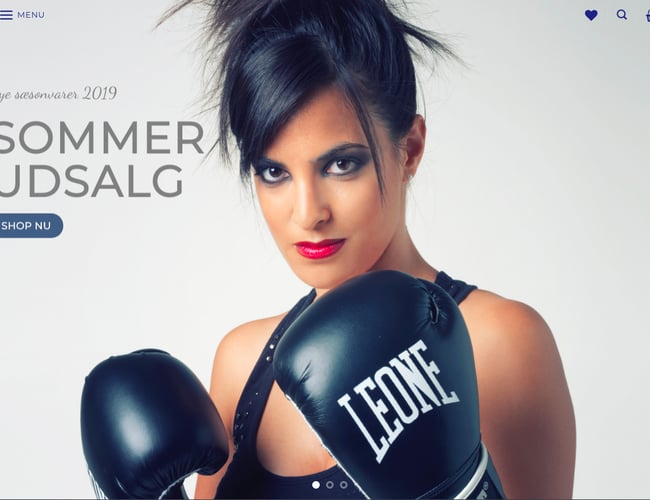 Webshop med salg af karate udstyr - Omsætning 50.000 kr. 