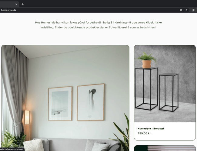 HOMESTYLE l 100% køreklar dropshipping hjemmeside til salg