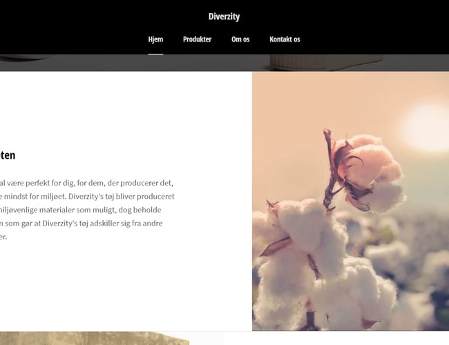 Diverzity - Tøjbrand til salg - inventar og varelager inkluderet