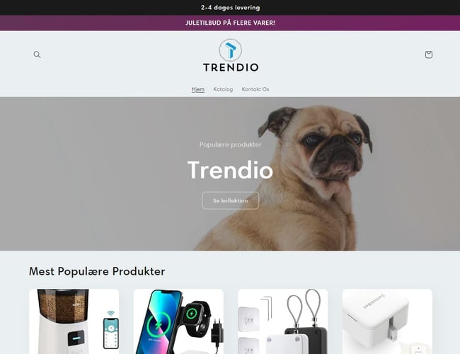 Trendio | Køreklar webshop | Stort udviklingspotentiale