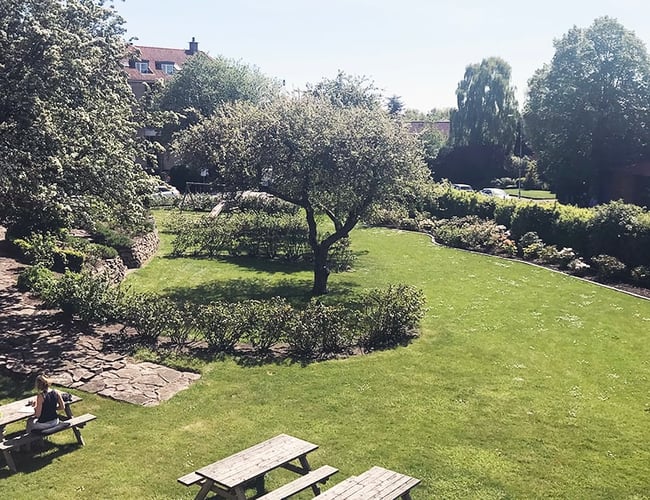 Salg af velfungerende kontorfælleskab i Aarhus C.